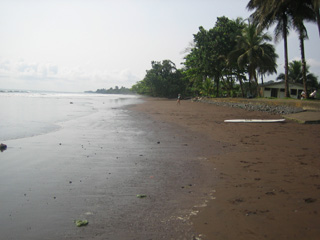 Limbé, Camerun